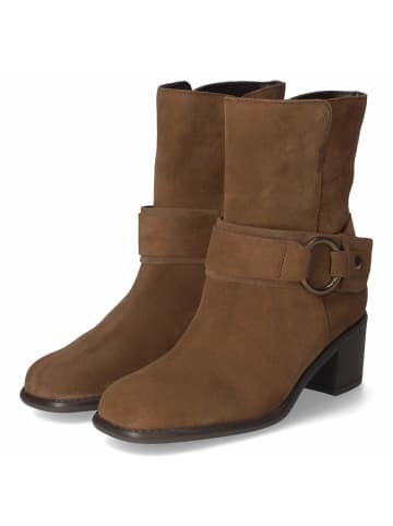 Gabor Stiefeletten in braun
