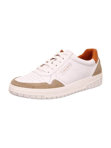 Pius Gabor Sportliche Schnürschuhe in Weiß
