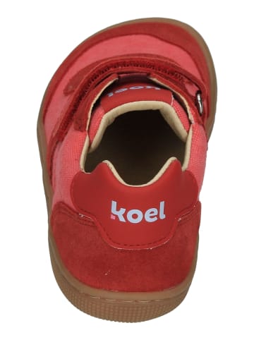 KOEL Sneaker Low DYLAN COTTON 3.0 in rot