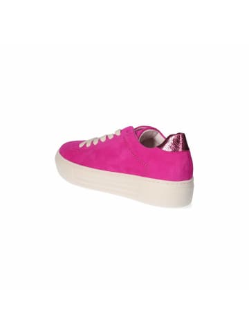 Gabor Low Sneaker in Pink