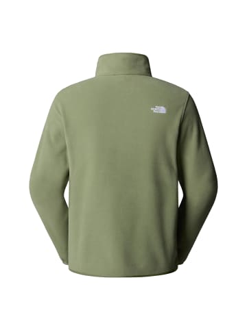 The North Face Glacier Fleece 1/4 Zip in Grün
