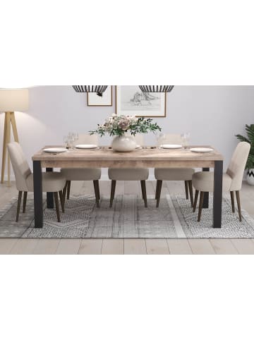 ebuy24 Esstisch Emile Eiche Dekor 200 x 100 cm