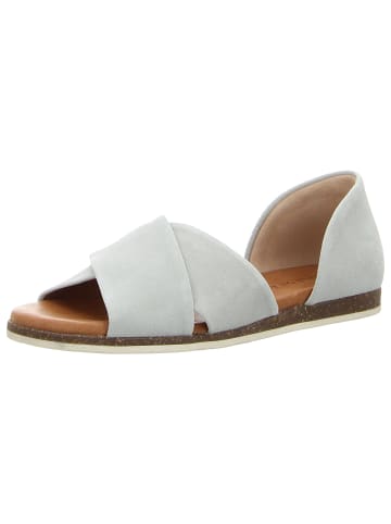 Apple of Eden in grün