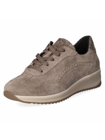 Beliana Low Sneaker AMBER in grau