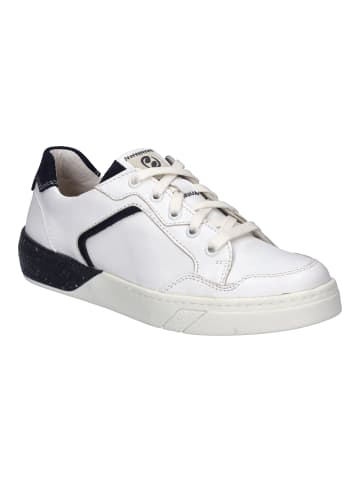 Josef Seibel Sneaker Wilma in weiss-blau