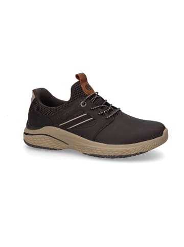 Dockers by Gerli Sneakers Low 50ME017 in braun