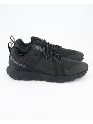 Timberland Sneaker low in Schwarz