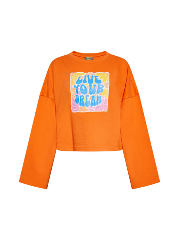 ebeeza Sweatshirt in Orange