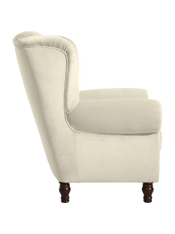 58 aufm Kessel OHRENBACKENSESSEL Katreen Bezug Samtvelours Buche nussbaum dunkel / creme