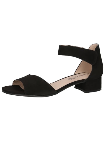 Caprice Sandalette in BLACK SUEDE