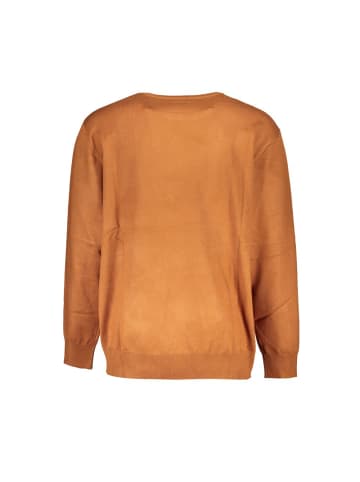 U.S. Polo Braun Viskose Herren Pullover