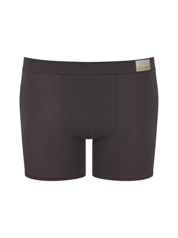 Sloggi Boxershort 4er Pack in Braun Mix