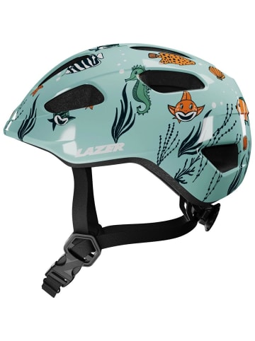 BASIL Pnut KinetiCore 2.0