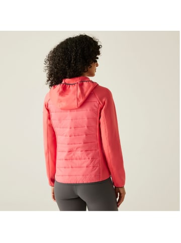 Regatta Softshelljacke Andreson VIII Hybrid in Peach Bloom