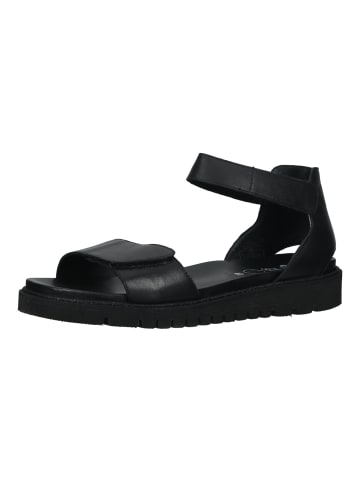 ara Sandalen in Schwarz