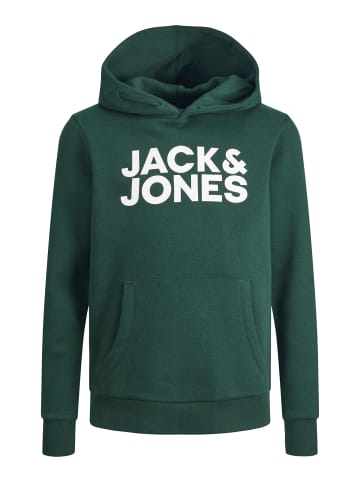 JACK & JONES Junior Kapuzen-Sweatshirt in pine grove