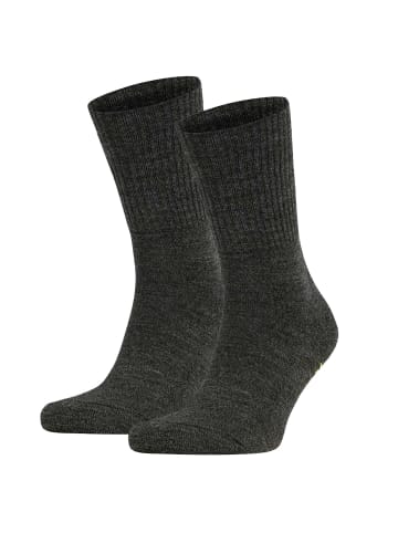 Falke Socken 2er Pack in Dunkelbraun