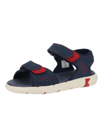 Kickers Sandalen in Blau/Rot