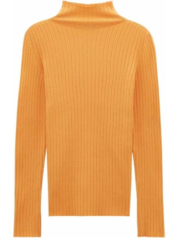 Someday Rollkragenpullover für Damen in orange