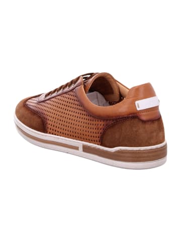 Galizio Torresi Sportliche Schnürschuhe in Braun