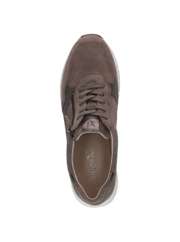 Caprice Sneaker in TAUPE COMB