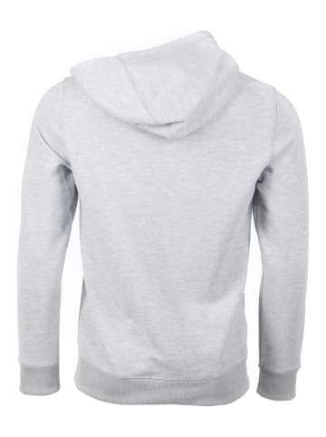 TOP GUN Hoodie TG20201123 in grey mélange