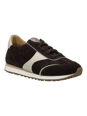 Josef Seibel Sneaker Miley 01 in braun