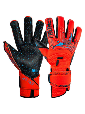 Reusch Torwarthandschuhe Attrakt Fusion Guardian AdaptiveFlex in 3333  brig red/futr blu/blck