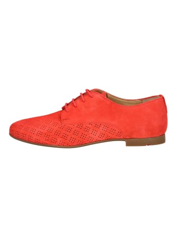 LLOYD Halbschuhe Rot