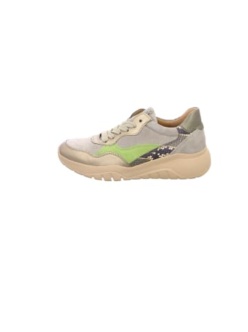 Gabor Sneaker für Damen in beige