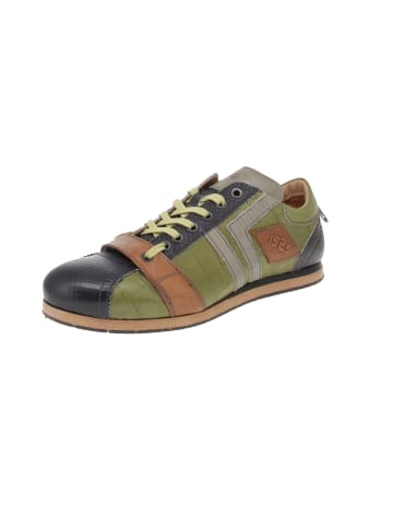 Kamo-Gutsu Sneaker low TIFO-030 in Mehrfarbig