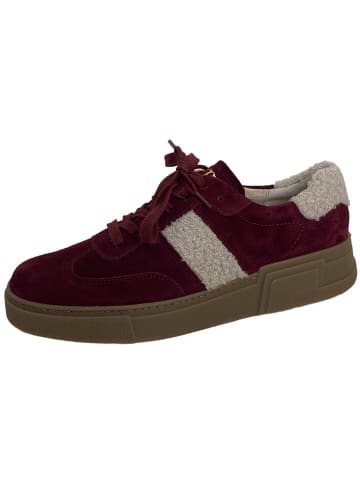 Paul Green Sneaker in rot