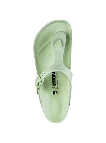 Birkenstock Zehentrenner Gizeh EVA in faded lime