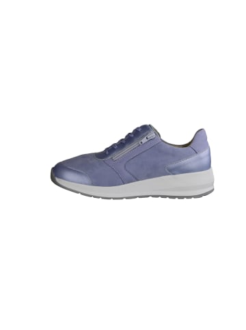 Finn Comfort Sneakers in blau