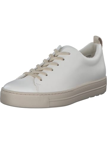 Paul Green Schnürschuhe in Cream