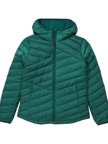 Marmot W HIGHLANDER HOODY in Grün