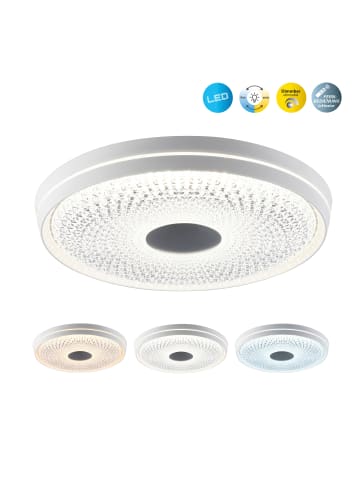 näve LED Deckenleuchte "BOISE" in weiß - (L)51 cm x (B)51 cm x (H)8.5 cm - EEK G