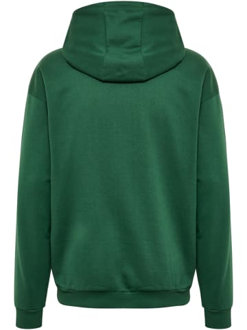 Hummel Hummel Kapuzenpullover Hmlfelix Herren in DARK GREEN