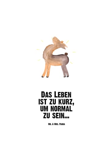 Mr. & Mrs. Panda Edelstahlflasche Lama Stolz mit Spruch in Weiß