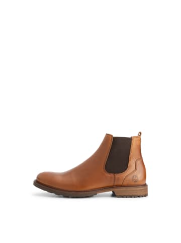 TRAVELIN' Winslow in Cognac