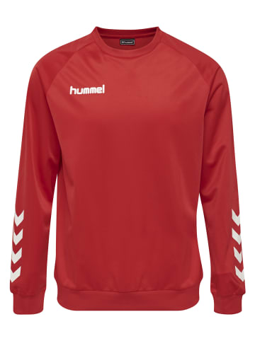 Hummel Hummel Sweatshirt Hmlpromo Multisport Kinder in TRUE RED