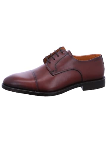 DIGEL Business Schuh Stan in Braun