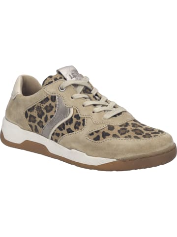 Josef Seibel Sneaker Arleen 02 in beige