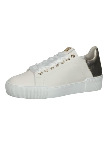 Högl Sneaker in Creme