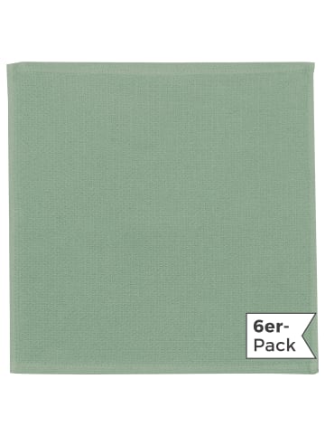 Erwin Müller Baumwolle Spültuch 6er-Pack in jade