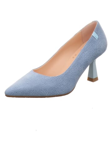 Floris van Bommel Pumps in blau