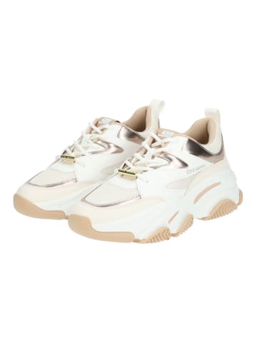 Steve Madden Sneaker in Rosegold