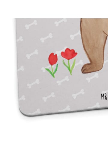 Mr. & Mrs. Panda Bierfilz Hund Dame ohne Spruch in Grau Pastell