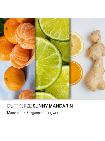 Candle Brothers Candle Brothers Duftkerzen "Sunny Mandarin"