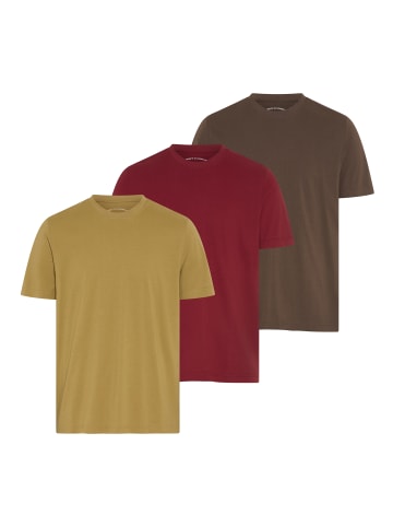 Man's World T-Shirt in braun, camel, bordeaux